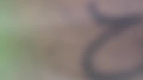 Snapshot of hellohowareyou66 chatting on 11.29.25 hellohowareyou66 online show from 11.29.25