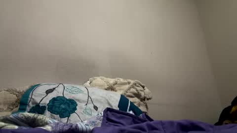 hellokitten123 online show from 01.28.25