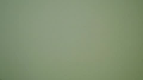 John Pearl online show from 12.30.24