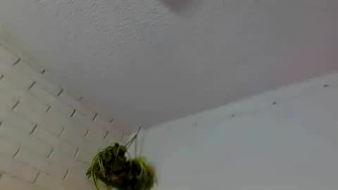 Kiki holestuffer 3000 destroyer of asses miss big balls online show from 10.08.25