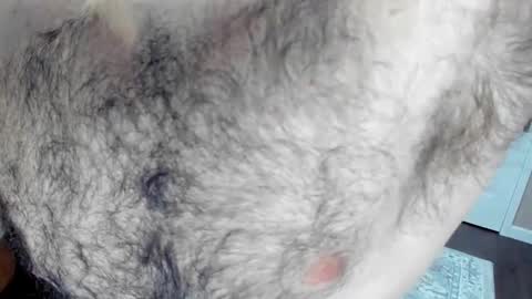 Wade Biggs online show from 01.25.25