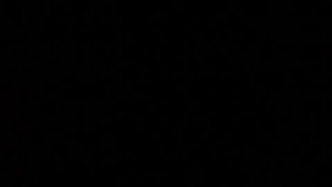 herkimer95 online show from 01.05.25