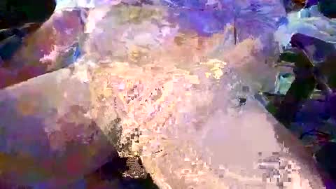 herletigre12345 online show from 10.26.25