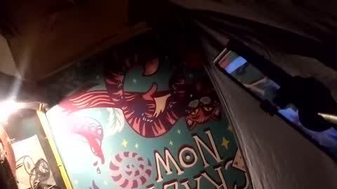 Snapshot of herwish_88 chatting on 10.19.25 Seamus McNasty online show from 10.19.25