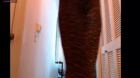 Snapshot of hevin69 chatting on 02.15.26 hevin69 online show from 02.15.26