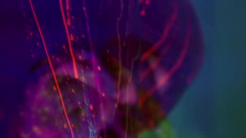 Alina online show from 01.14.26