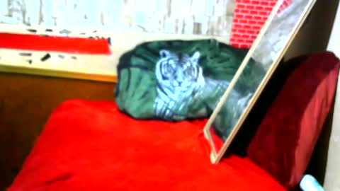 Snapshot of hhhjnf1 chatting on 09.17.25 hhhjnf1 online show from 09.17.25