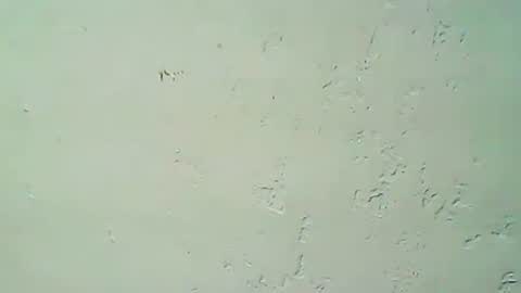 Snapshot of hhhjnf1 chatting on 09.20.25 hhhjnf1 online show from 09.20.25