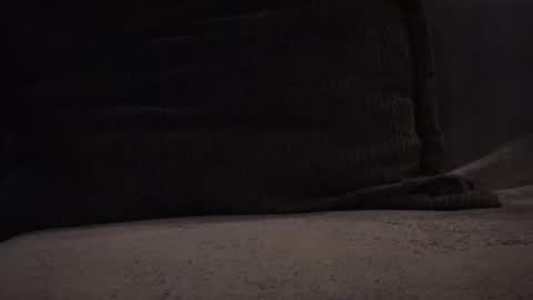 hikinxxx online show from 11.12.25