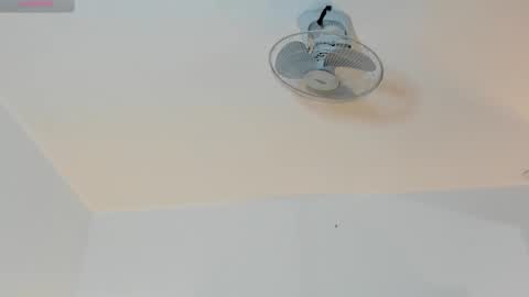 hilary_tailor online show from 01.17.26