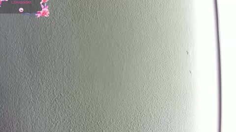 Hilary Thomsom online show from 01.10.26