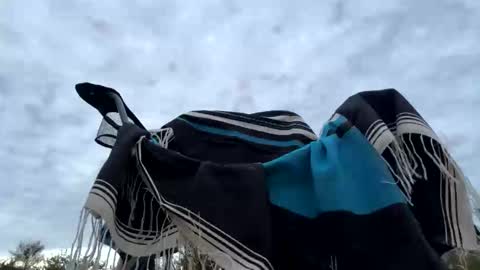 Hippie Jijm online show from 01.06.26