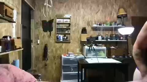 Snapshot of hippostixs chatting on 10.13.25 Krush Vibrations online show from 10.13.25