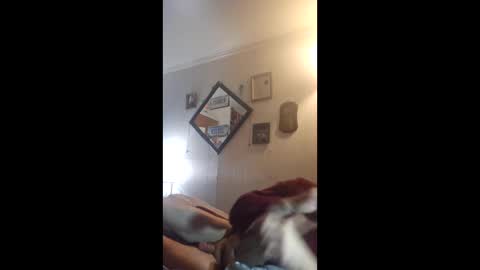 hoglegg99384194 online show from 04.27.26