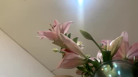 space online show from 01.12.26