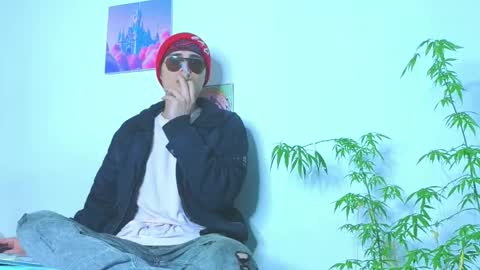      online show from 03.12.26