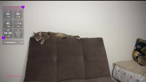 Vio online show from 03.01.25