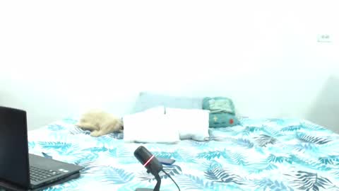 Holycode online show from 02.02.25