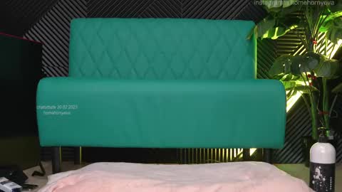 Snapshot of homehornyeva chatting on 02.19.25 homehornyeva online show from 02.19.25