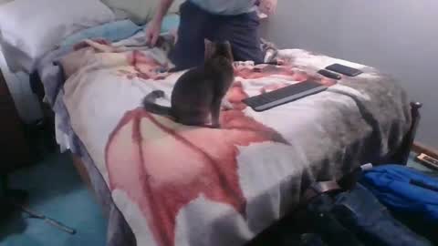 Snapshot of homer4038 chatting on 10.04.25 Sebastians Mess online show from 10.04.25