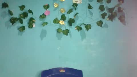 Queen online show from 11.13.25