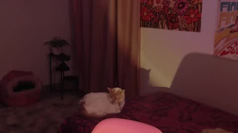    online show from 12.18.24