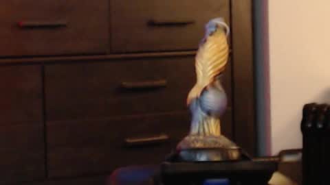 ItsReeleMe online show from 02.08.26