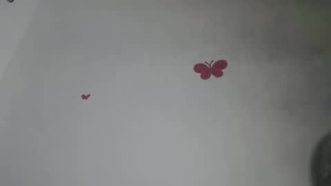 Iris online show from 11.10.25