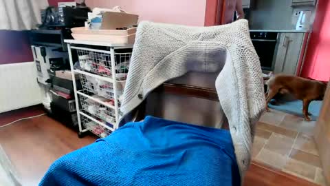 hornypenis127 online show from 06.06.26