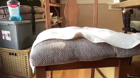 HornyThumb online show from 01.11.26