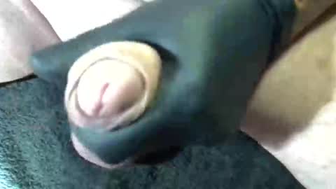 Snapshot of horse_dick9 chatting on 09.11.25 horse_dick9 online show from 09.11.25