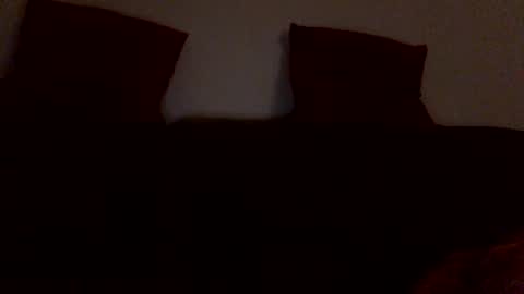 Snapshot of horsechris chatting on 11.30.25 Chriss90 online show from 11.30.25