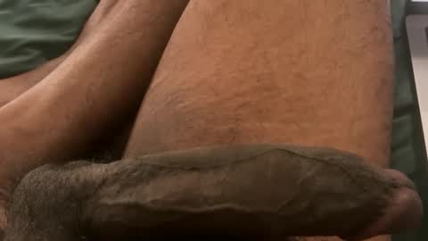 Bbc horsey online show from 02.03.26