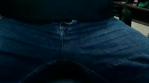 horsesaslife online show from 11.11.25