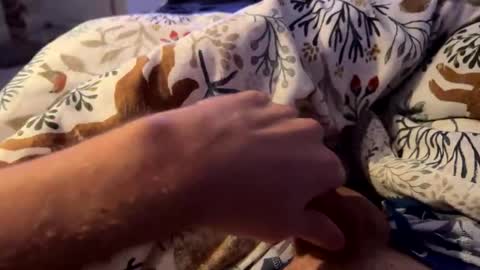 hot_for_you_ online show from 11.23.25