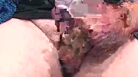 hotcam96 online show from 12.15.24