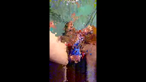 Hot spunkers and cream online show from 05.19.26