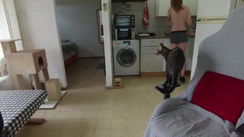 Hikikomori Alex online show from 12.24.24