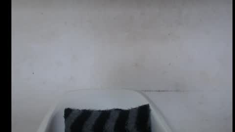 Snapshot of hotjessie0 chatting on 10.07.25 hotjessie0 online show from 10.07.25