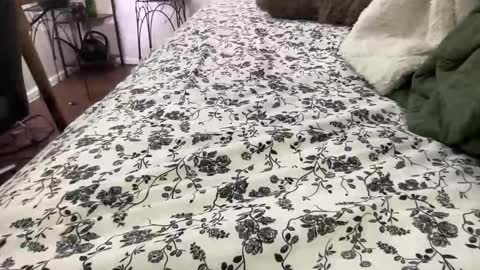 Annabelle online show from 02.04.26