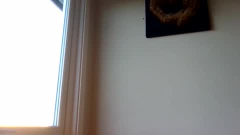 Snapshot of hototo2 chatting on 11.25.25 hototo2 online show from 11.25.25