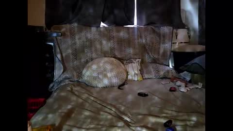 hotrox6942 online show from 09.24.25