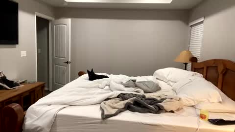 hottiewithabody101 online show from 11.11.25