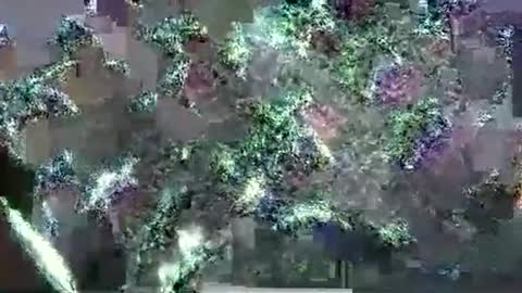 hp58649blabla online show from 09.17.25