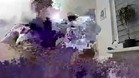 Snapshot of hugo_hug chatting on 03.04.26 David online show from 03.04.26