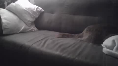 Snapshot of huguit026 chatting on 02.04.25 huguit026 online show from 02.04.25