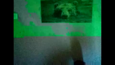 huidos2006 online show from 11.11.25