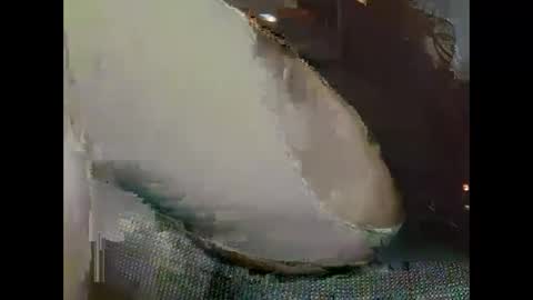 hujiajia520321431 online show from 11.19.25