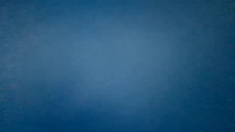 Snapshot of hummelbummel00 chatting on 02.14.26 hummelbummel00 online show from 02.14.26