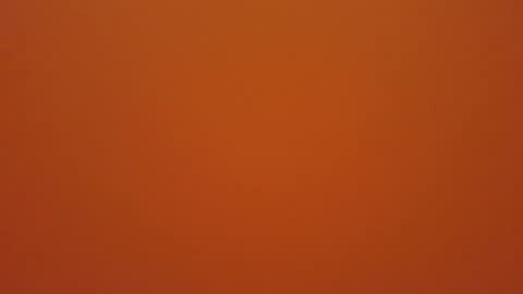 hundeleine online show from 12.19.25